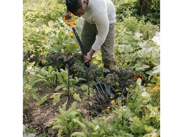 Вилы садово-огородные Solid FISKARS (возможны артикулы 1070673 или 1003458)