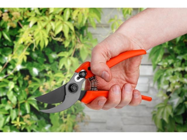 Секатор плоскостной 19см STARTUL GARDEN (ST6410-03)