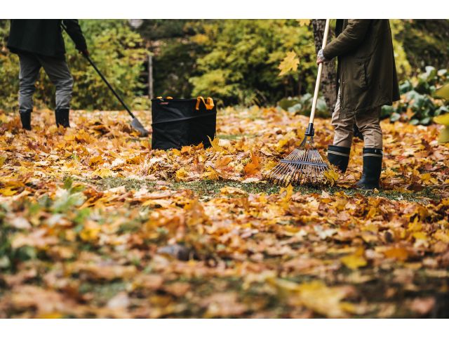 Грабли для листьев с чер. Prima FISKARS (веерные)