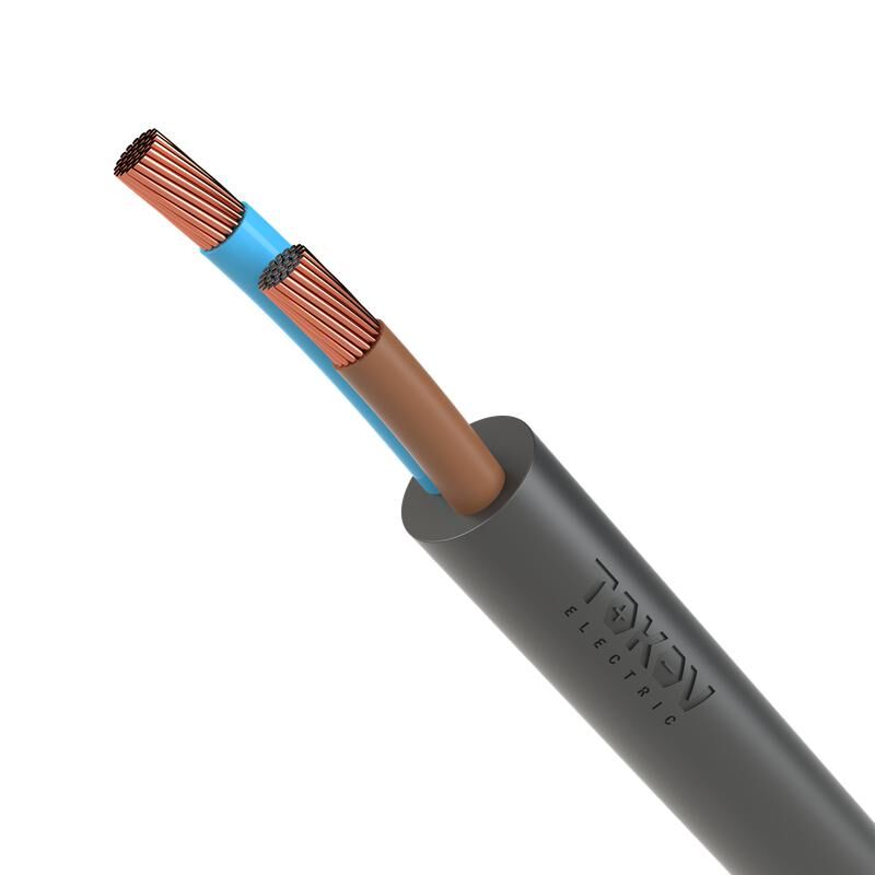Провод ПВС 2х2,5 380В (бухта 100м) Ч TOKOV ELECTRIC