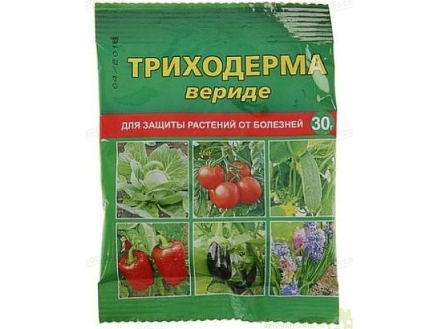 Фунгицид от болезней растений "Триходерма вериде" (п/э пакет 30 гр.)
