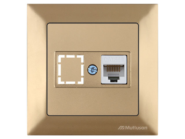 Розетка компьютерная 1xRJ45 (Cat5e, скрытая) золото, DARIA, MUTLUSAN