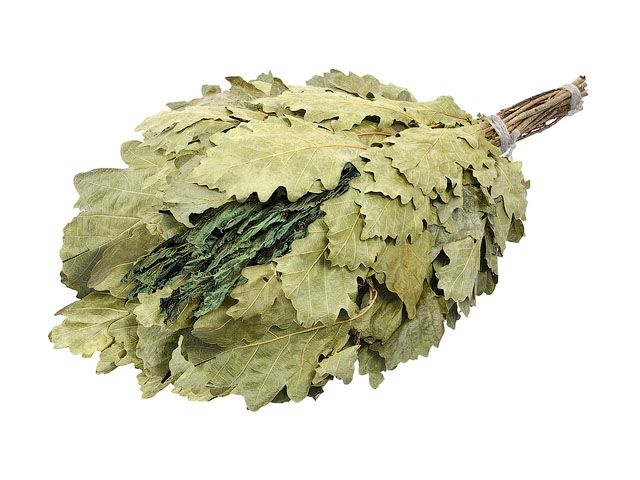 Веник дубовый с мятой, в упаковке, "Банные штучки"