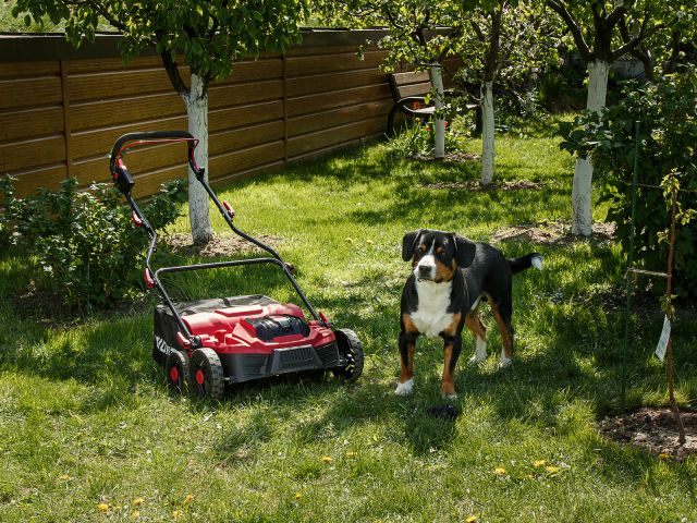 Аккум. аэратор-скарификатор WORTEX CAE 3736 ALL1 XLT SOLO БЕСЩЁТ.ДВИГ., 18В+18В, шир. 37 см (вал для аэрации, вал для скарификации, 5 рег.вы