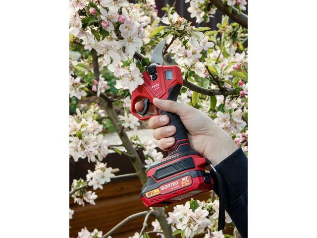 Аккум. секатор WORTEX CBS 2030 в кор. ALL1 SET, БЕСЩЕТ., 18 В, ветки до 28 мм + телескоп. штанга (3 ступени регулировки, 0,76 кг)