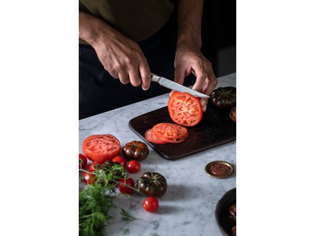 Нож для томатов 12 см цельнометаллический All Steel Fiskars