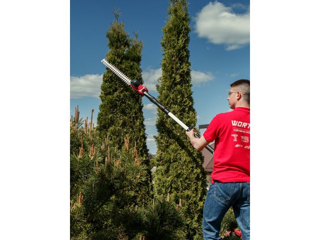 Высоторез WORTEX PS 2001 + насадка-кусторез в кор. (750 Вт, шина 8", автосмазка, телескоп. штанга  до 2 м)