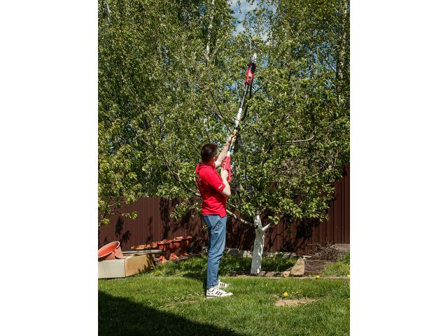 Высоторез WORTEX PS 2001 + насадка-кусторез в кор. (750 Вт, шина 8", автосмазка, телескоп. штанга  до 2 м)